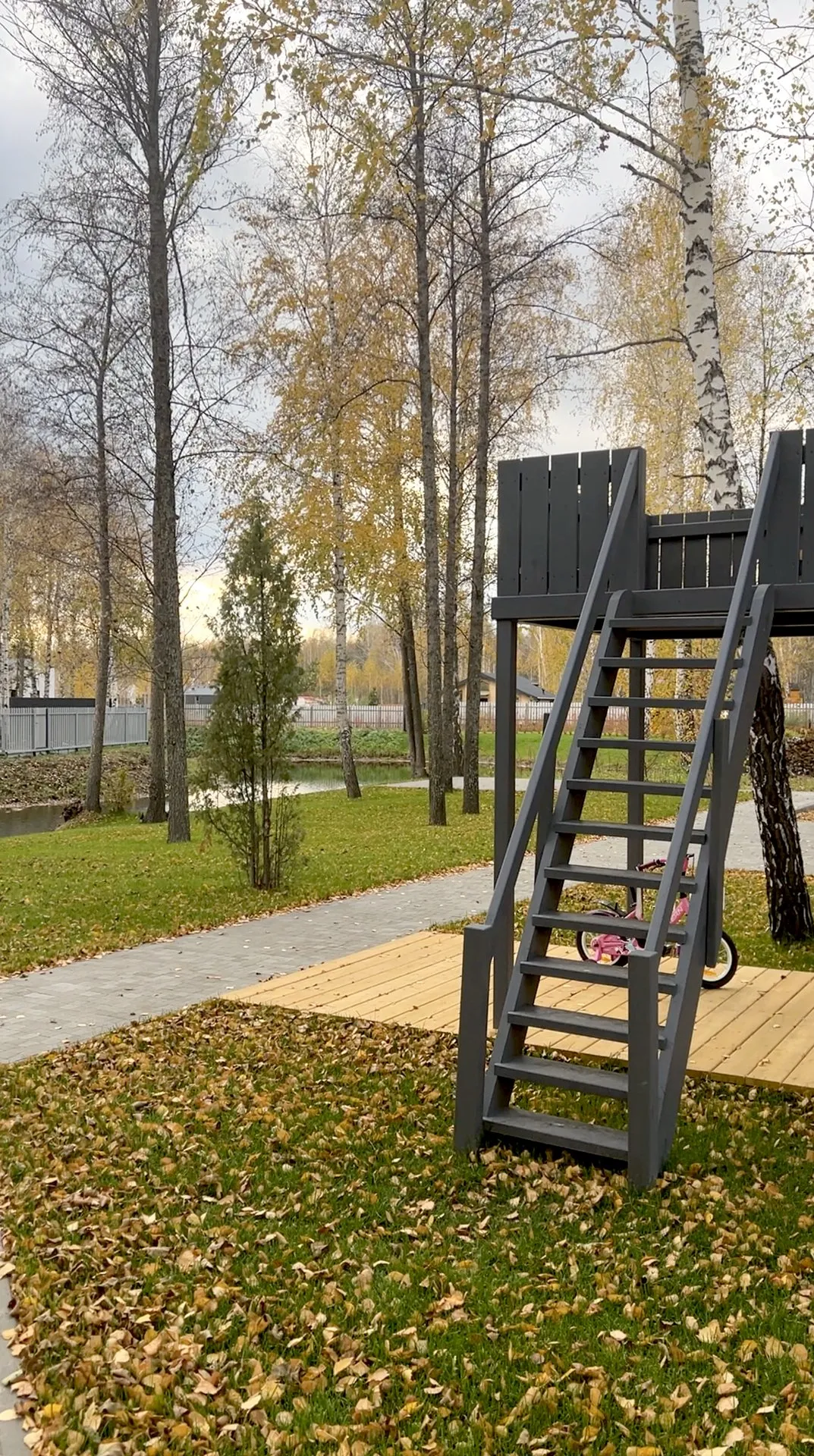 Высокое серое кресло с лестницей среди осенних берёз.