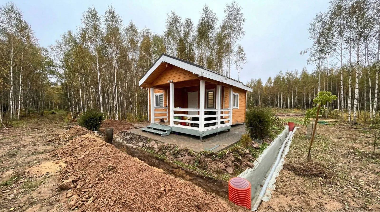 Небольшой деревянный дом с верандой среди берёз.